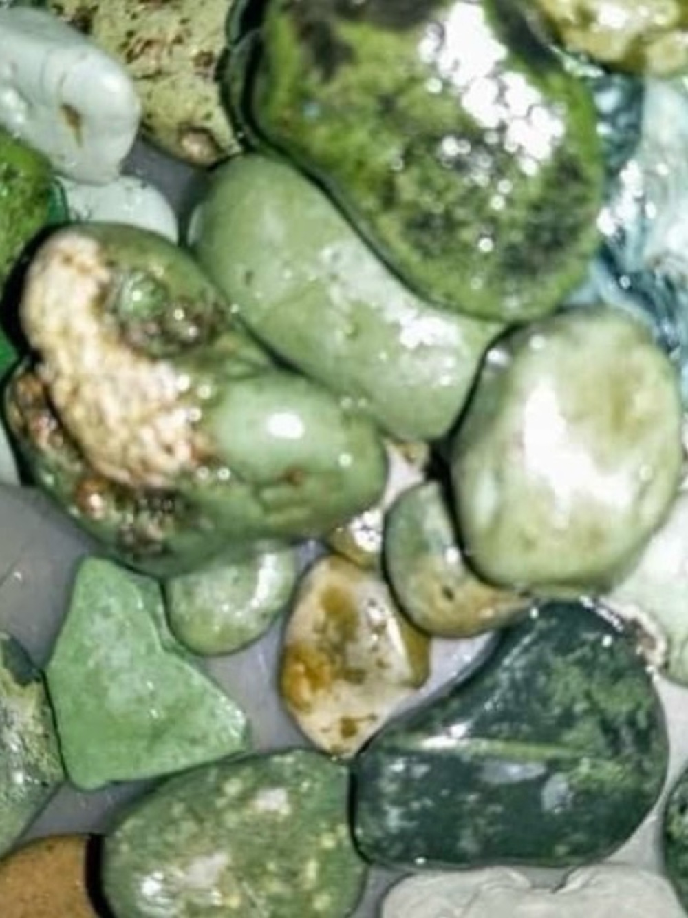 Lake Michigan Great Lakes Pallet. Yooperlites, fossils, beach glass, hag stones. - Picture 9 of 16